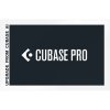 Steinberg Cubase Pro 13 Upgrade AI