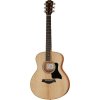 Taylor GS Mini Sapele Torrefied Top