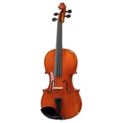 Karl Höfner Allegretto 4/4 Violin Outfit