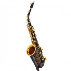 Selmer Supreme Alto Sax SE-ASUB