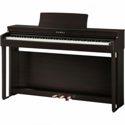 Kawai CN-201 R