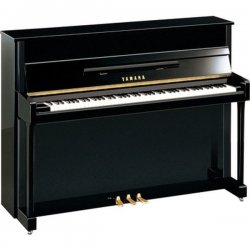 Yamaha b2 SC3 PE